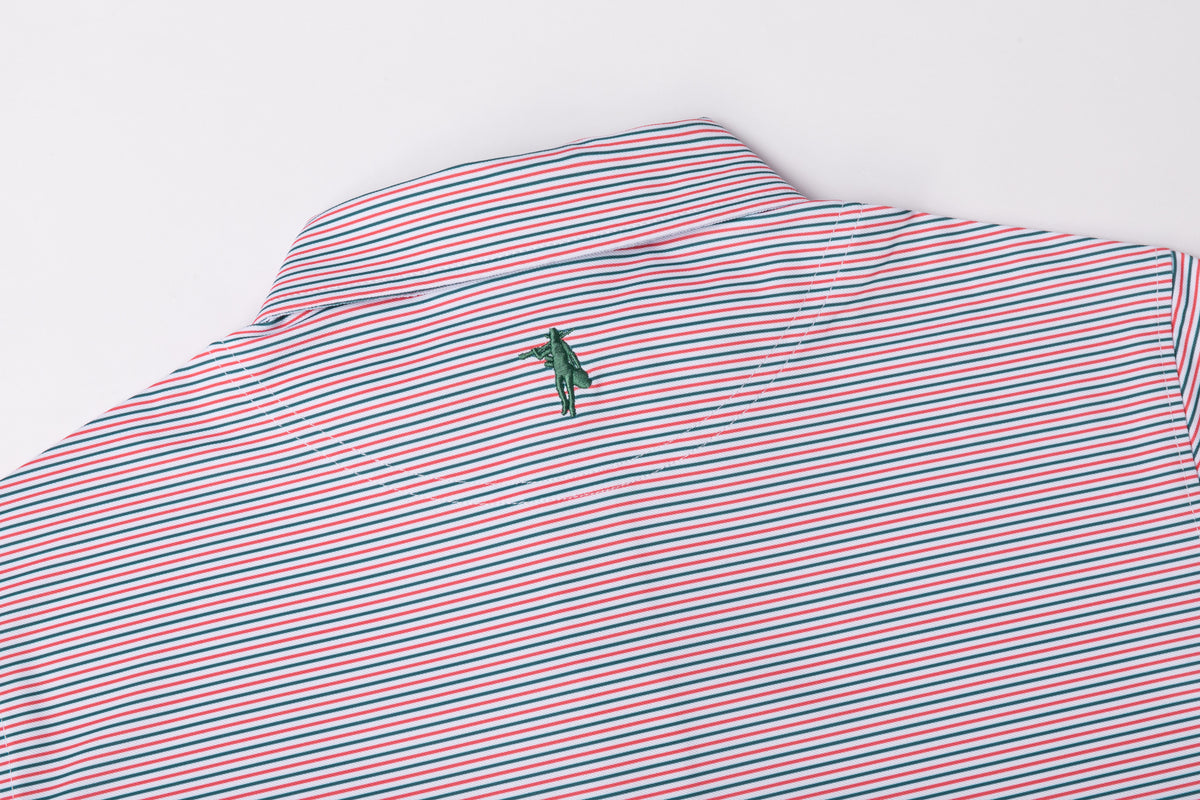 A close-up of a striped polo shirt collar with thin red and blue horizontal stripes and a small green embroidered polo player logo in the center.