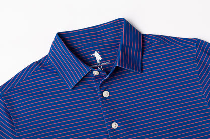 A close-up of a blue and white striped collared button-down shirt, showing the collar, white buttons, and a small white embroidered polo logo.