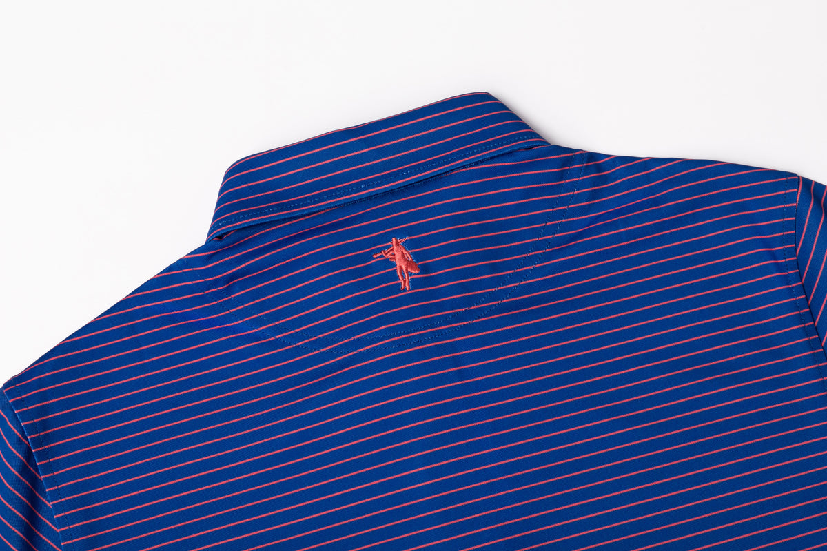 Close-up of the back collar of a blue and red striped polo shirt with a small red embroidered logo.